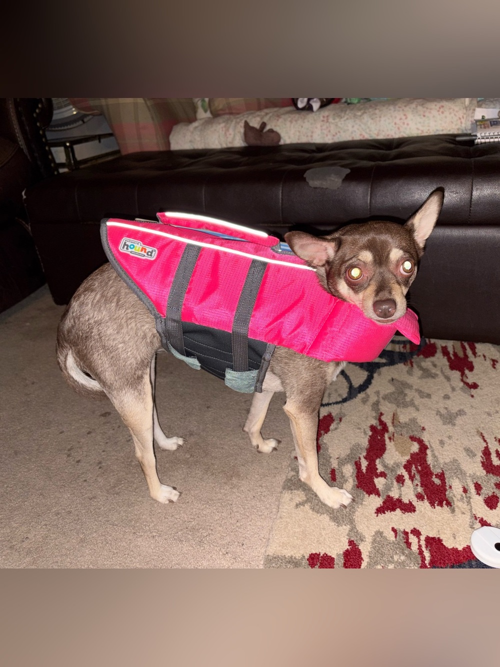 Brand New Life Jacket